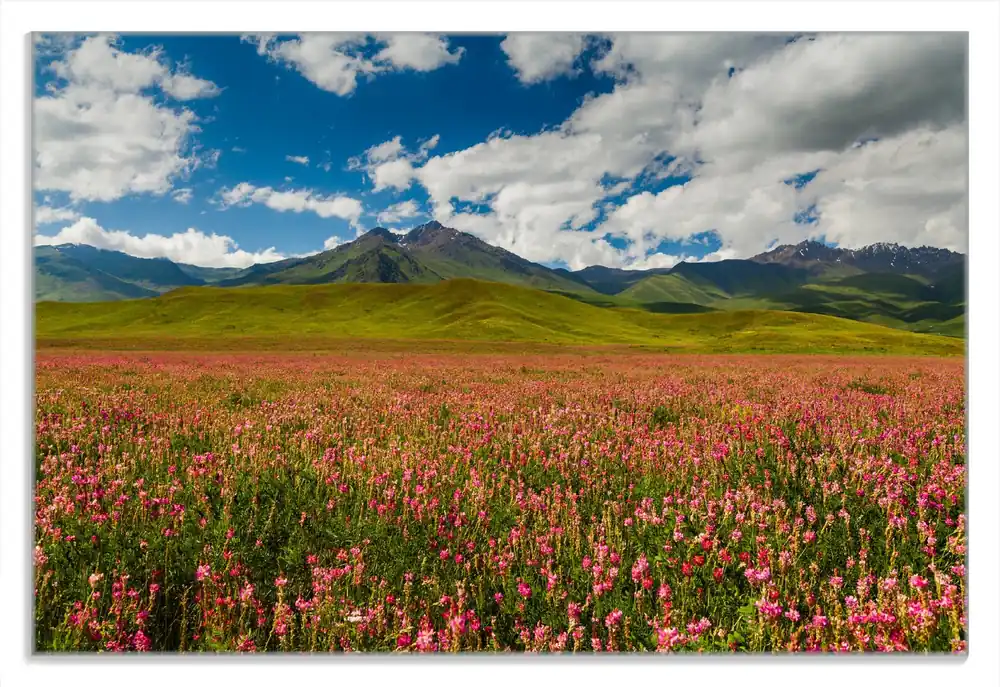 Abverkauf Frühstücksbrettchen Berglandschaft im Sommer 6 Sück