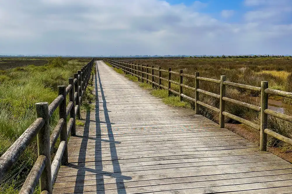 Schneller Versand Frühstücksbrettchen Holzsteg durch Moorlandschaft 2 Stück