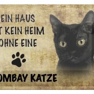 Abverkauf Metallbild Blechschild Spruch 30x20cm Bombay Katze ohne kein Heim 20 x 30 cm