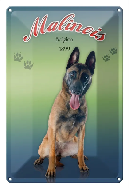 Neu Im Sortiment Metallbild Blechschild Hund 20x30cm Malinois Belgien 1899 20 x 30 cm