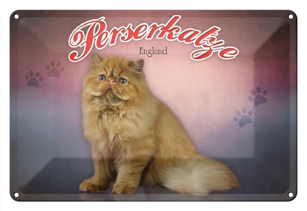 Metallbild Blechschild Katze 30x20cm Perserkatze England Wanddeko 20 x 30 cm Super-Preis
