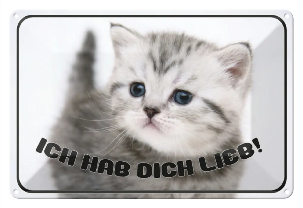 Abverkauf Metallbild Blechschild Katze 30x20cm ich hab dich lieb Geschenk 20 x 30 cm