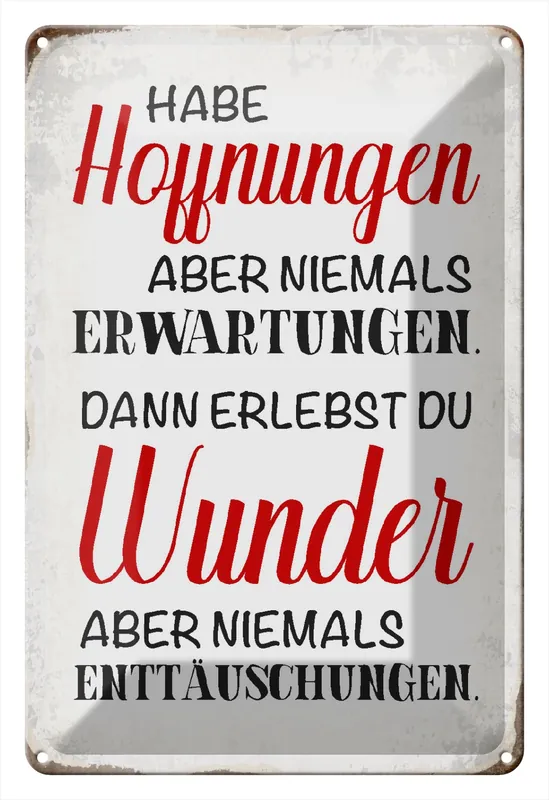 Metallbild Blechschild Spruch 20x30cm habe Hoffnung Erwartungen Wunder 20 x 30 cm Finale Aktion