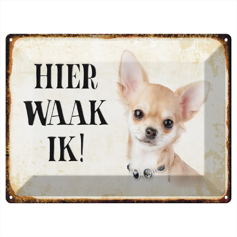 Abverkauf Metallbild Blechschild Spruch 40x30cm holländisch Hier Waak ik Chihuahua mit Kette 30 x 40 cm