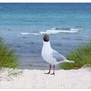 Duschmatte Möwe auf der Düne 70 x 50 cm Neuheit