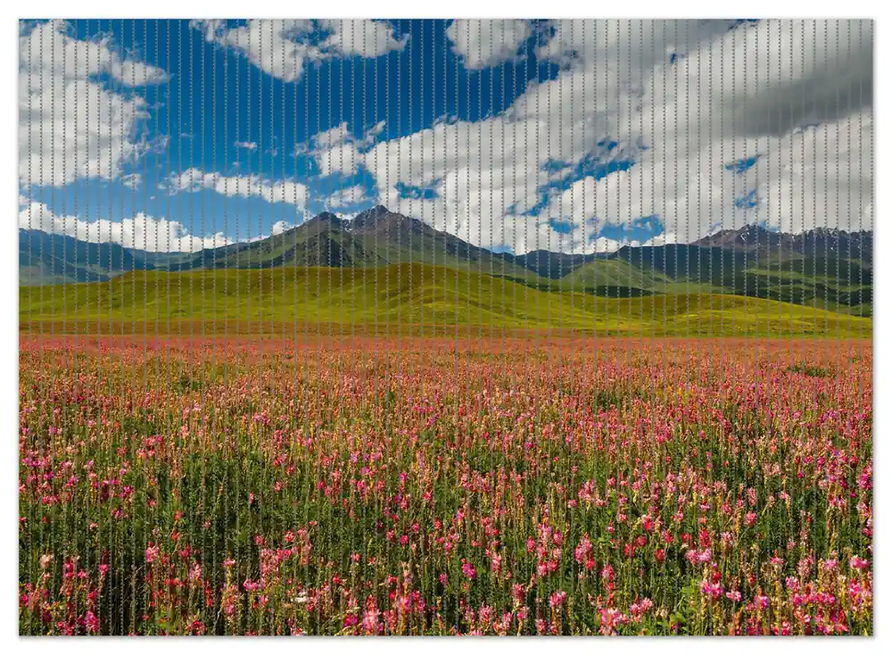 Kostenloser Versand Duschmatte Berglandschaft im Sommer 70 x 50 cm