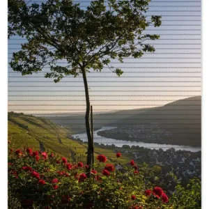 Duschmatte Fluss im Abendlicht 180 x 65 cm Sofort Bestellen