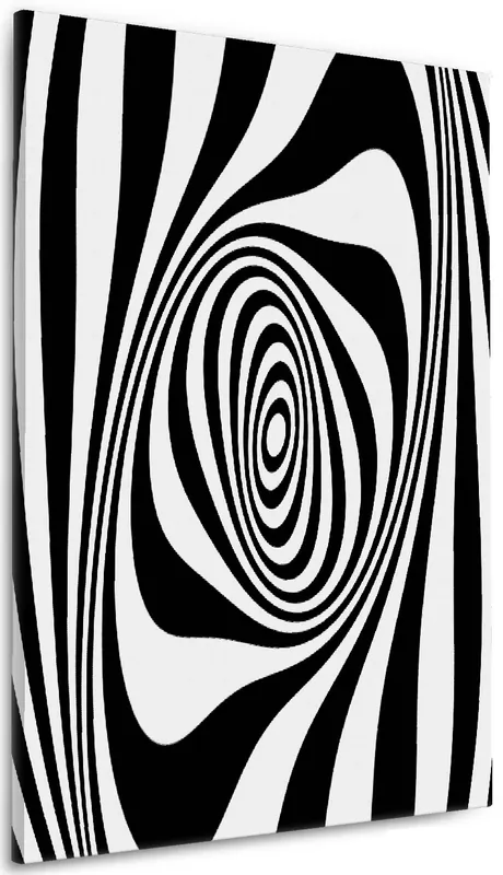 Leinwandbild Optische Täuschung - Zebra Muster - schwarz weiß 50 x 50 cm Rabatt