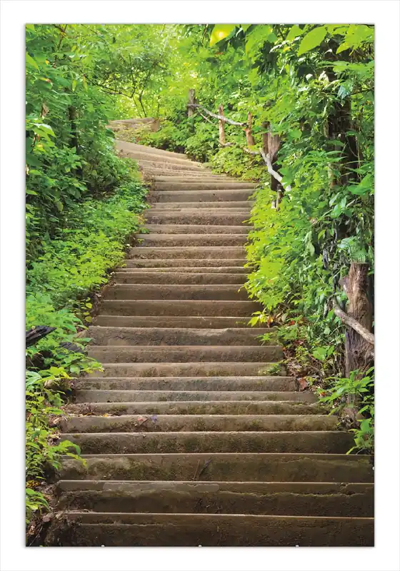 Poster Steintreppe im Wald 40 x 50 cm, mit weißem Aluminumrahmen Top-Preis