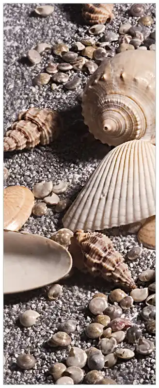 Poster Muscheln am Strand 50 x 125 cm Finale Aktion