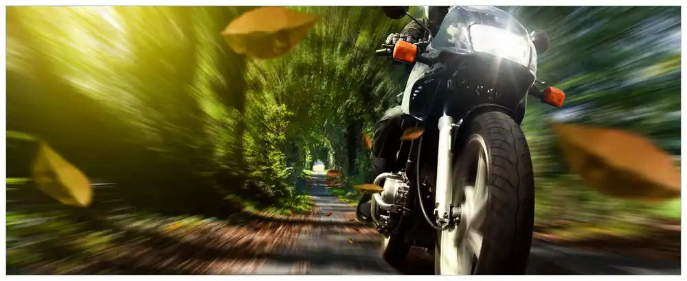 Poster Fahrendes Motorrad im Wald mit Herbstlaub 50 x 125 cm Gratis Versand