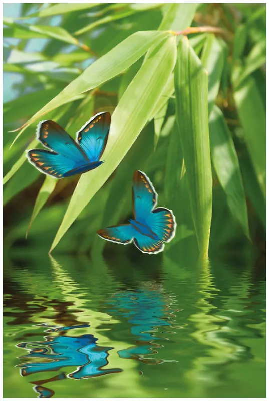 Poster Schmetterlinge in Reflektion 61 x 91,5 cm, mit rahmenlosem Bildhalter Bestpreis