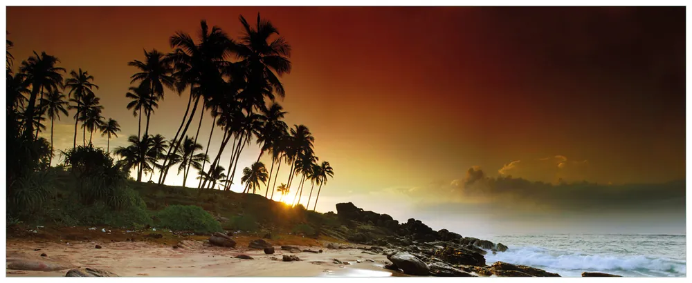 Jetzt Kaufen Poster Sri Lanka - Palmenstrand mit Sonnenuntergang 61 x 91,5 cm