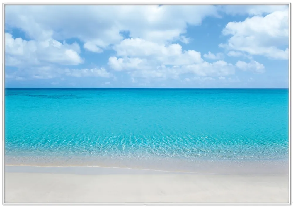 Poster Sandstrand und blaues Meer 80 x 200 cm Billig