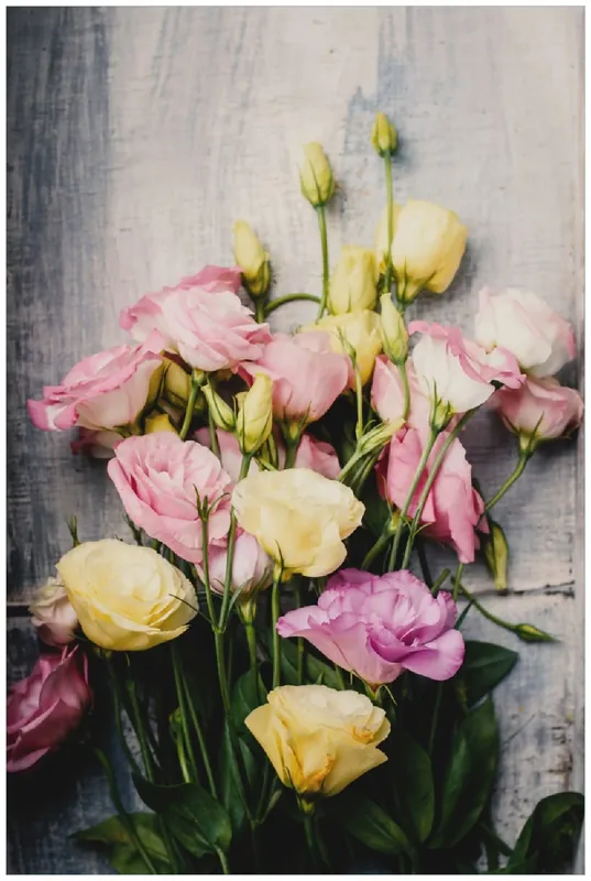 Poster Gelbe und rosane Rosen 100 x 150 cm Expressversand