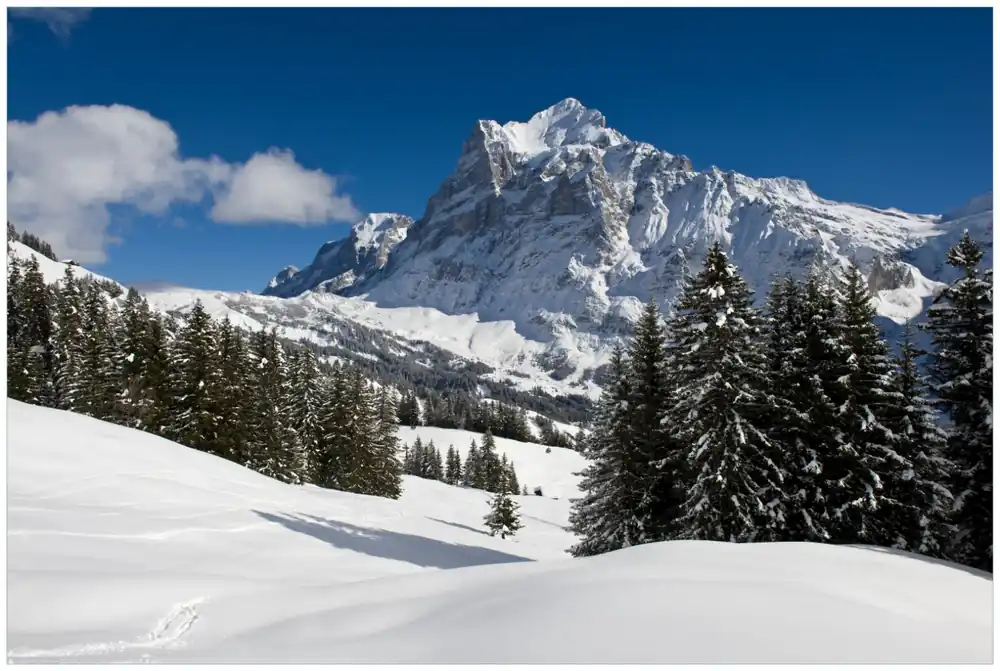 Preisreduziert Selbstklebendes Poster Verschneiter Berghang unter blauem Himmel 61 x 91,5 cm
