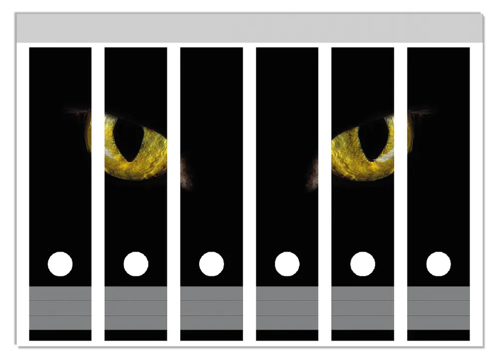 Ordnerrücken Sticker Gelbe Katzenaugen bei Nacht für breite Ordner, 12 Sticker Expressversand