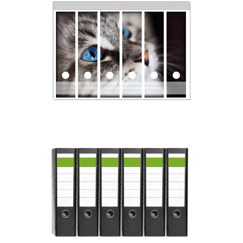 Ordnerrücken Sticker Katze mit strahlend blauen Augen für breite Ordner, 6 Sticker Direktkauf