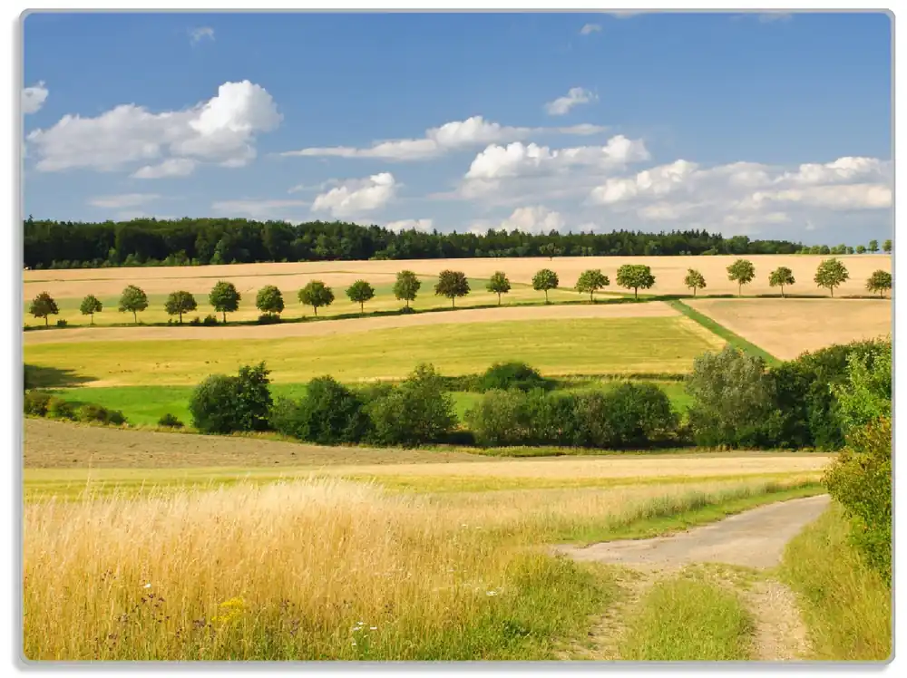Glasunterlage Feldlandschaft unter blauem Himmel 30 x 40 cm Knallerangebot