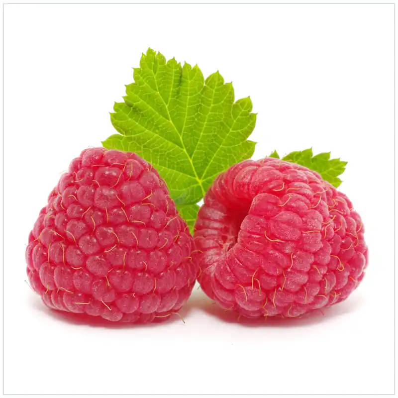 Heißes Angebot Möbelfolie Himbeeren mit grünem Blatt auf weißem Grund 55 x 55 cm