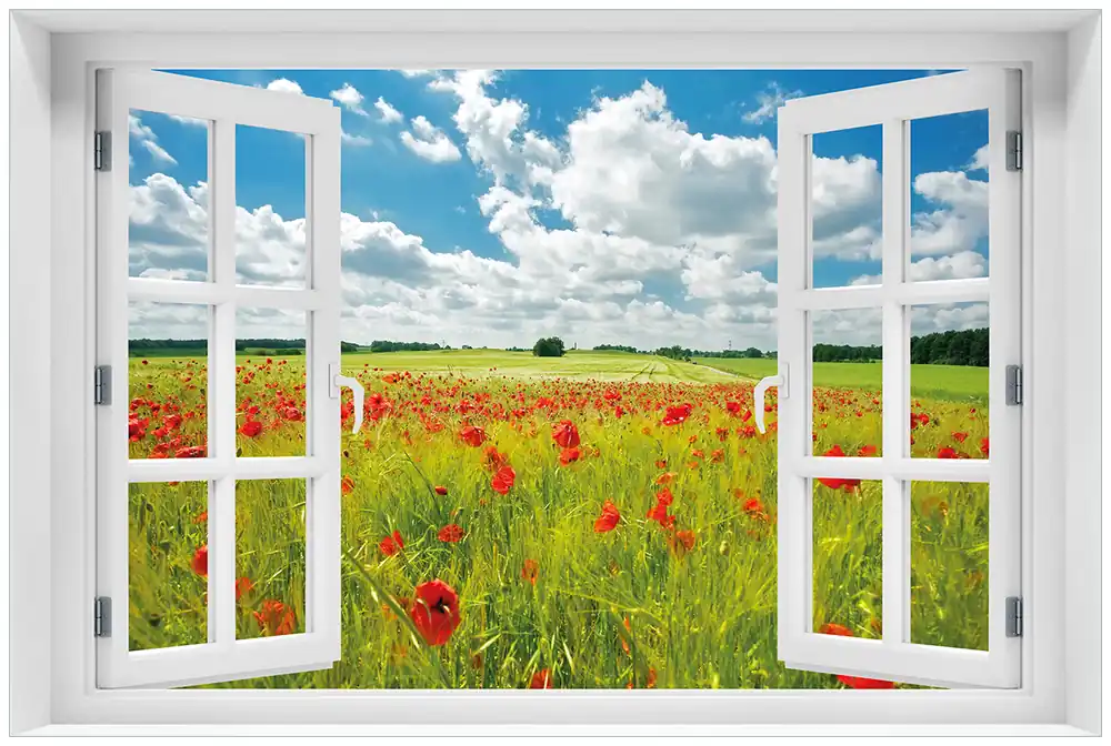 Acrylglasbild Grüne Wiese mit Mohnblumen 60 x 90 cm mit Fensterrahmen Ausverkauf