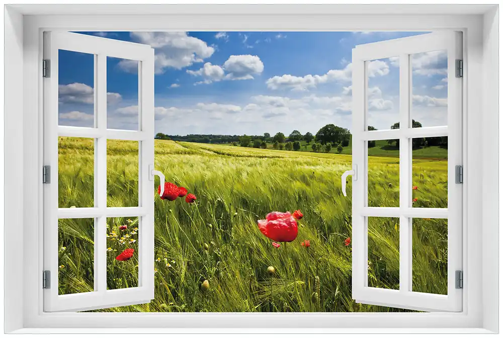 Online Kaufen Acrylglasbild Mohnblumenwiese auf grüner Wiese unter blauem Himmel 60 x 90 cm mit Fensterrahmen