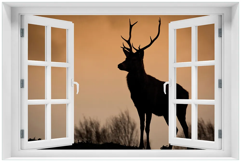 Acrylglasbild Rothirsch am Abend 60 x 90 cm mit Fensterrahmen Finale Aktion