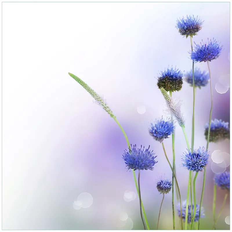 Kracherpreis Glasunterlage Abstrakte lila Blume 55 x 55 cm