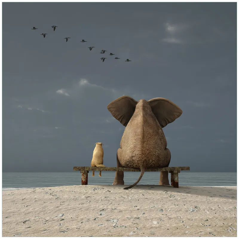 Glasunterlage Elefant und Hund sitzen auf einer Bank 55 x 55 cm Schnäppchen