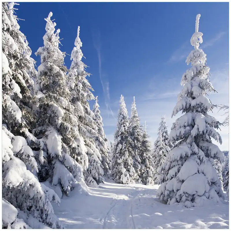 Markenprodukt Glasunterlage Wanderweg im Schnee 55 x 55 cm