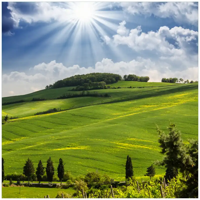 Glasunterlage Strahlender Sonnenschein 55 x 55 cm Aktuell