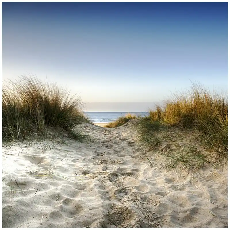 Glasunterlage Weg durch die Dünen zum Strand am Meer 55 x 55 cm Schnäppchen