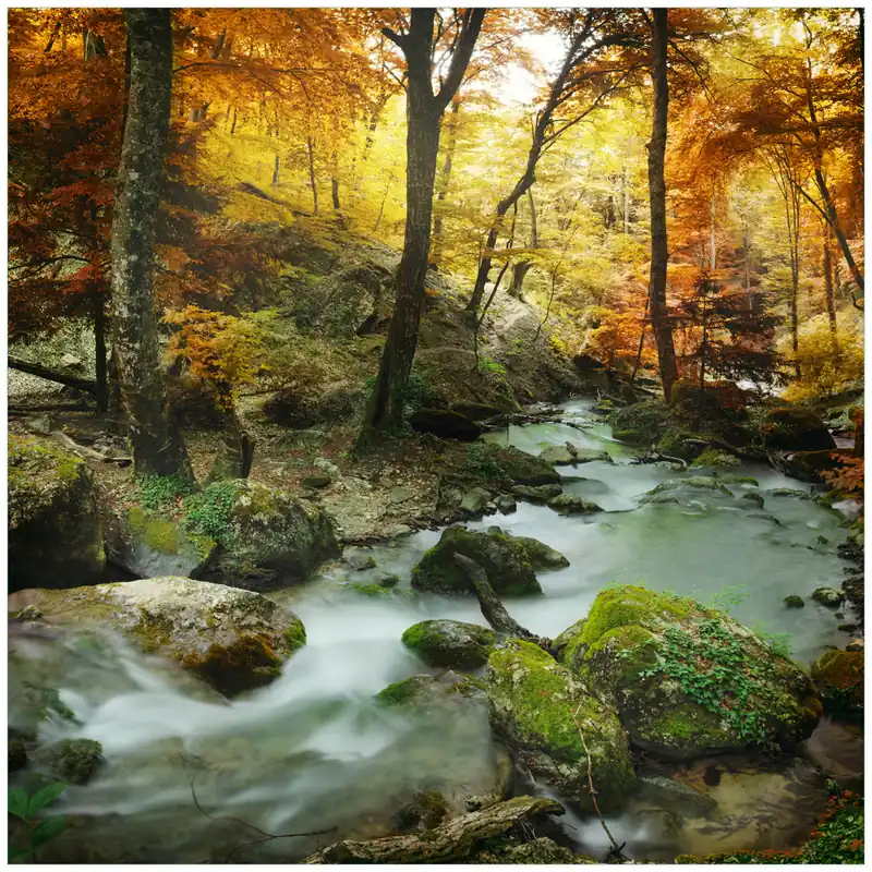 Zertifiziert Glasunterlage Wasserfall mit moosbedeckten Steinen im Herbstwald 55 x 55 cm
