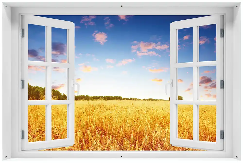 Top-Angebot Gartenposter Weizenfeld unter blauem Himmel 80 x 120 cm
