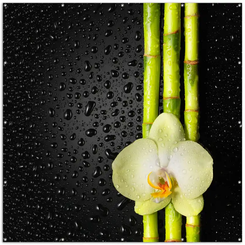 Preisknaller Gartenposter Grüne Orchidee mit Bambus auf schwarz - Regentropfen ca. 60 x 90 cm