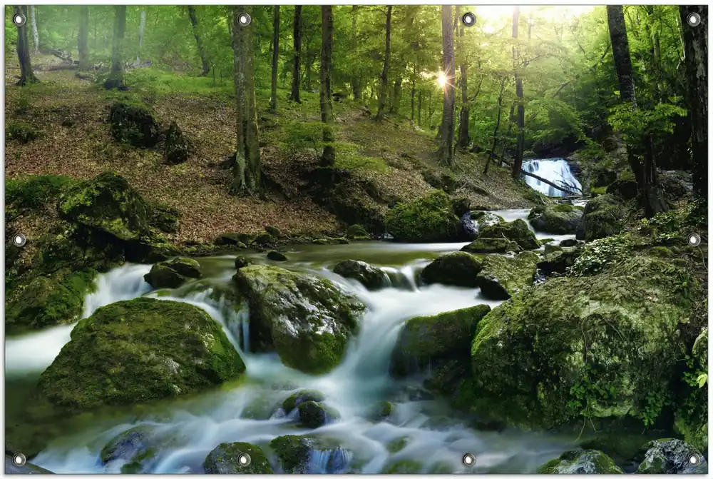 Gartenposter Fließender Bach im Wald bei Sonnenuntergang 340 x 173 cm Schnäppchen