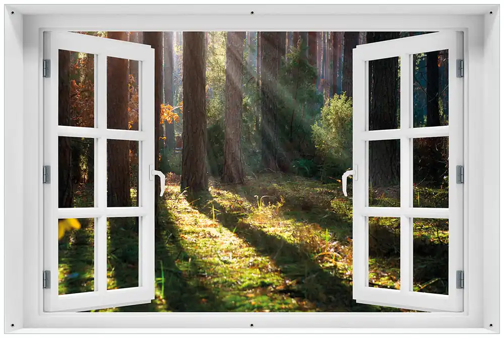 Kracherpreis Gartenposter Sonnenstrahlen im Herbstwald 100 x 150 cm