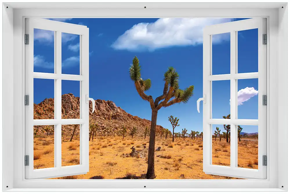 Gartenposter Palmlilie im Nationalpark Yucca Valley Wüstenlandschaft 100 x 150 cm Nur Für Kurze Zeit