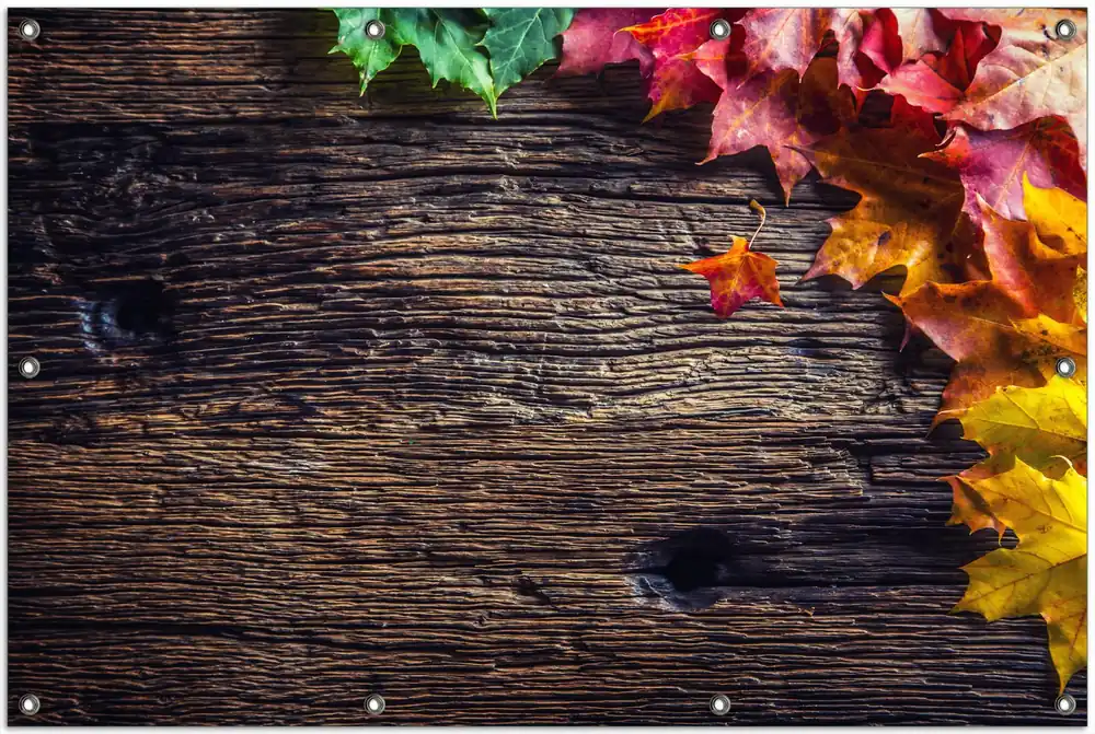 Gartenposter Herbstblätter auf altem Holz 340 x 173 cm Mega-Angebot