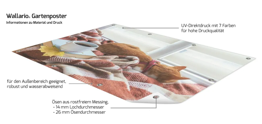 Markenprodukt Gartenposter Schlafende Katze beim Kaffeekränzchen ca. 60 x 90 cm