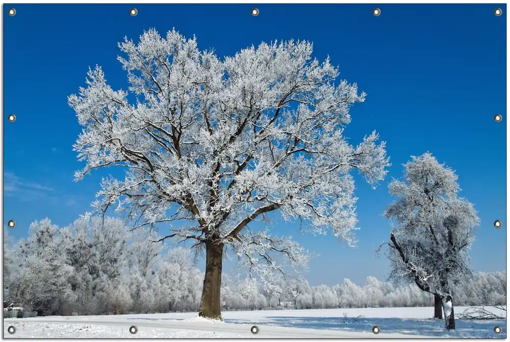 Gartenposter Schneebedeckter Baum mit blauen Himmel Rund. 30 cm Durchmesser Angebot