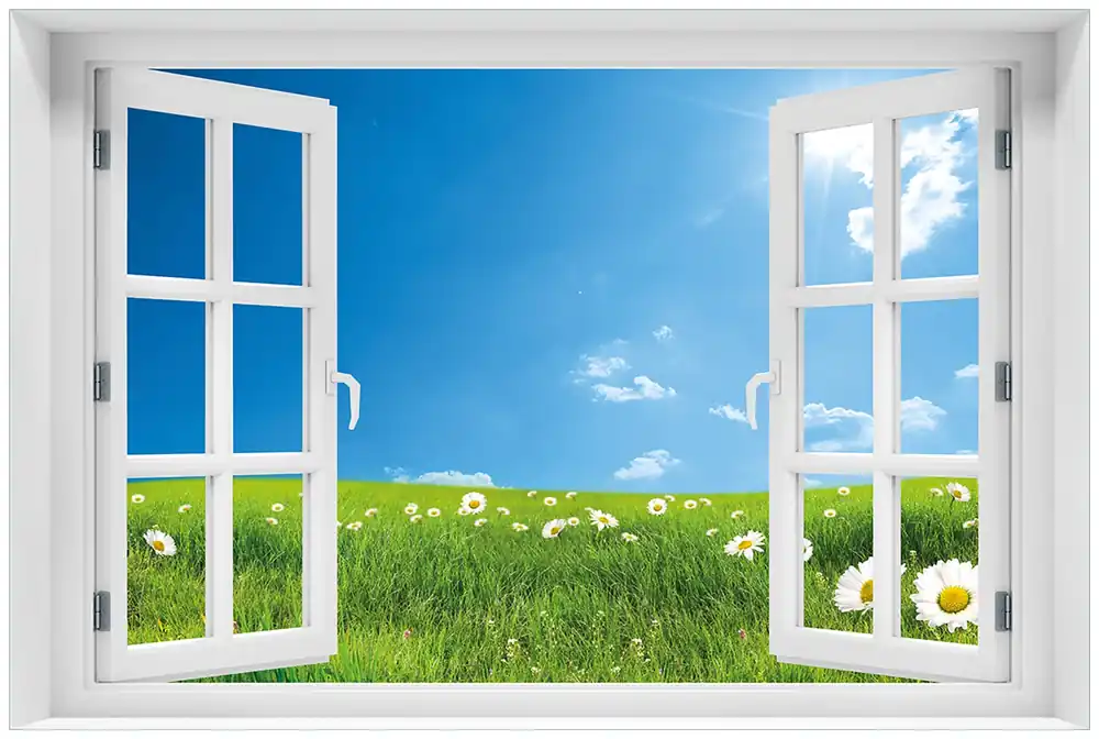 Glasbild Sommerwiese - Weiße Gänseblümchen vor blauem Himmel 60 x 90 cm mit Fensterrahmen Kostenfreie Lieferung