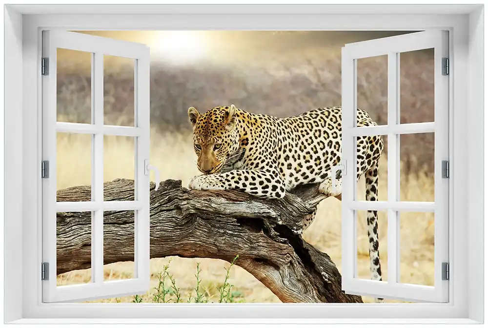 Echt Glasbild Leopard auf Baumstamm in Afrika 60 x 90 cm mit Fensterrahmen