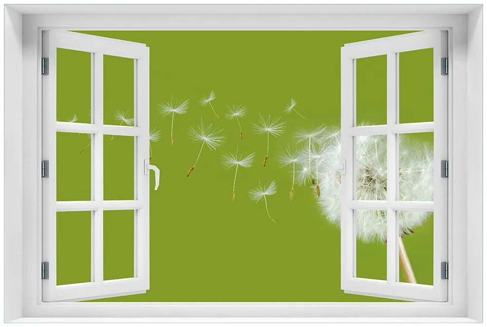 Glasbild Pusteblume auf der Wiese mit fliegenden Samen 60 x 90 cm mit Fensterrahmen Markenware