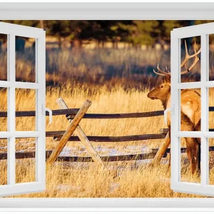 Abverkauf Glasbild Elch im Schnee - im Hochland von Colorado 60 x 90 cm mit Fensterrahmen
