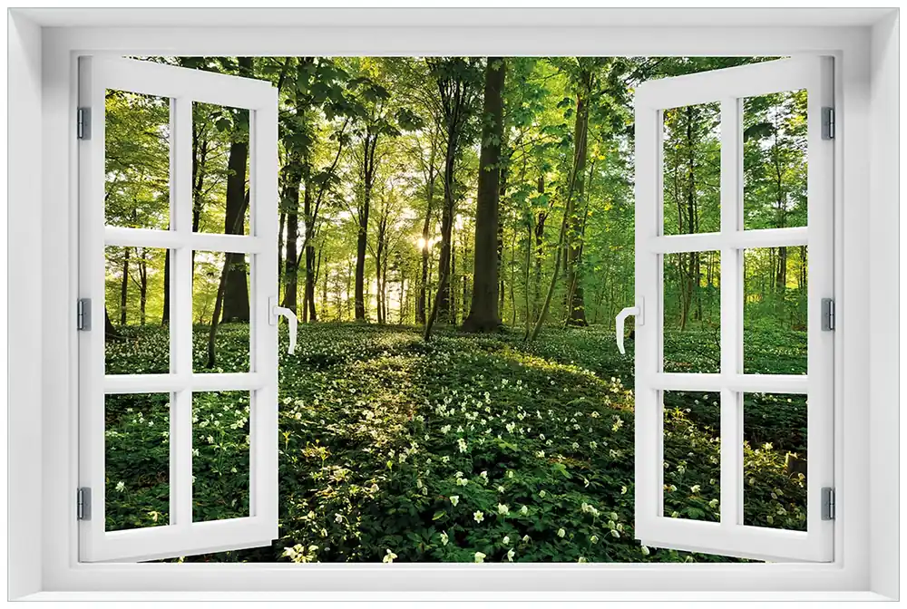 Echt Glasbild Waldanemonen und Sonnenstrahlen im Wald 60 x 90 cm mit Fensterrahmen