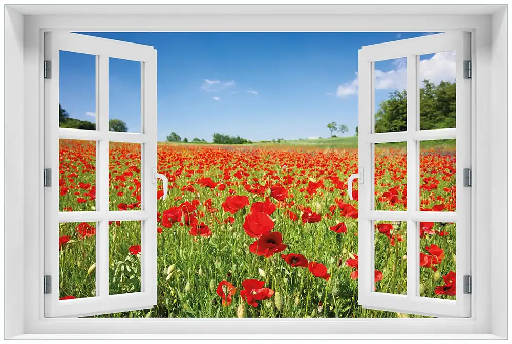 Direktkauf Glasbild Mohnblumenfeld- rote Blumen unter blauem Himmel 60 x 90 cm mit Fensterrahmen