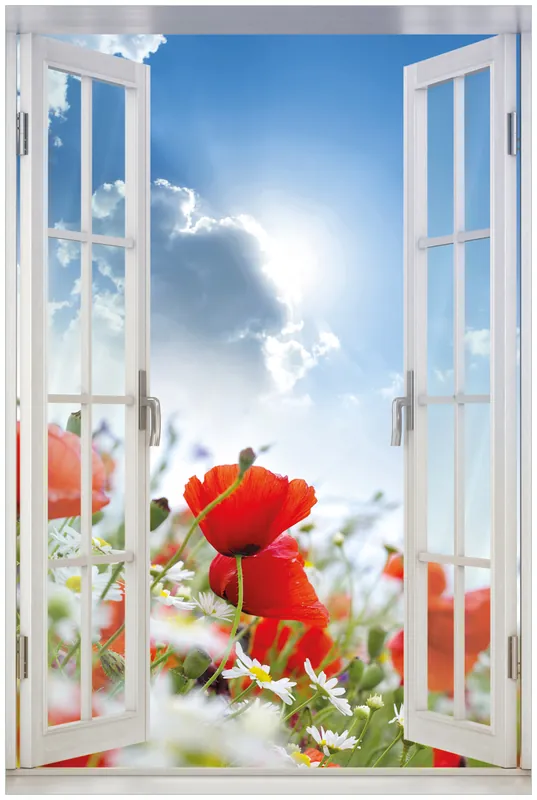 Must-Have Acrylglasbild Mohnblumen unter blauem Himmel 60 x 90 cm mit Fensterrahmen