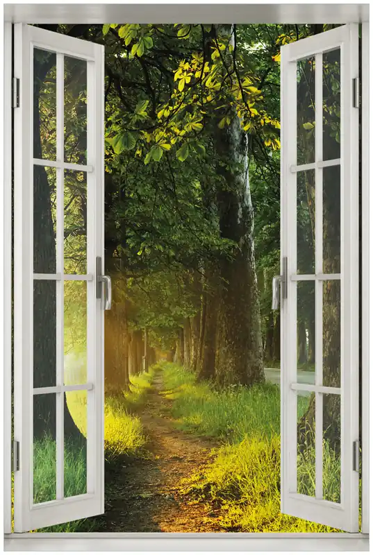Top-Angebot Acrylglasbild Allee bei Sonnenuntergang 60 x 90 cm mit Fensterrahmen