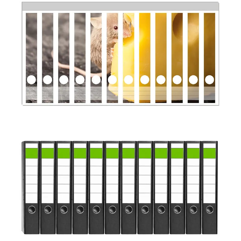 Ordnerrücken Sticker Süße Maus knabbert an einem Käse in der Küche inkl. schmaler Ordner, 12 Sticker Neue Ware